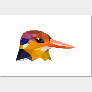 Oriental Dwarf Kingfisher Posters and Art